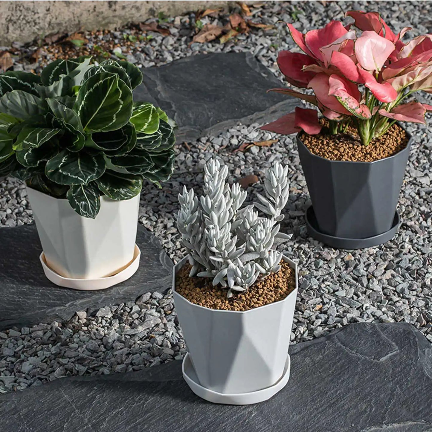 6Pcs Planter Plastic Plant Pot Flower Container With Thickened Tray For Indoor Outdoor Garden